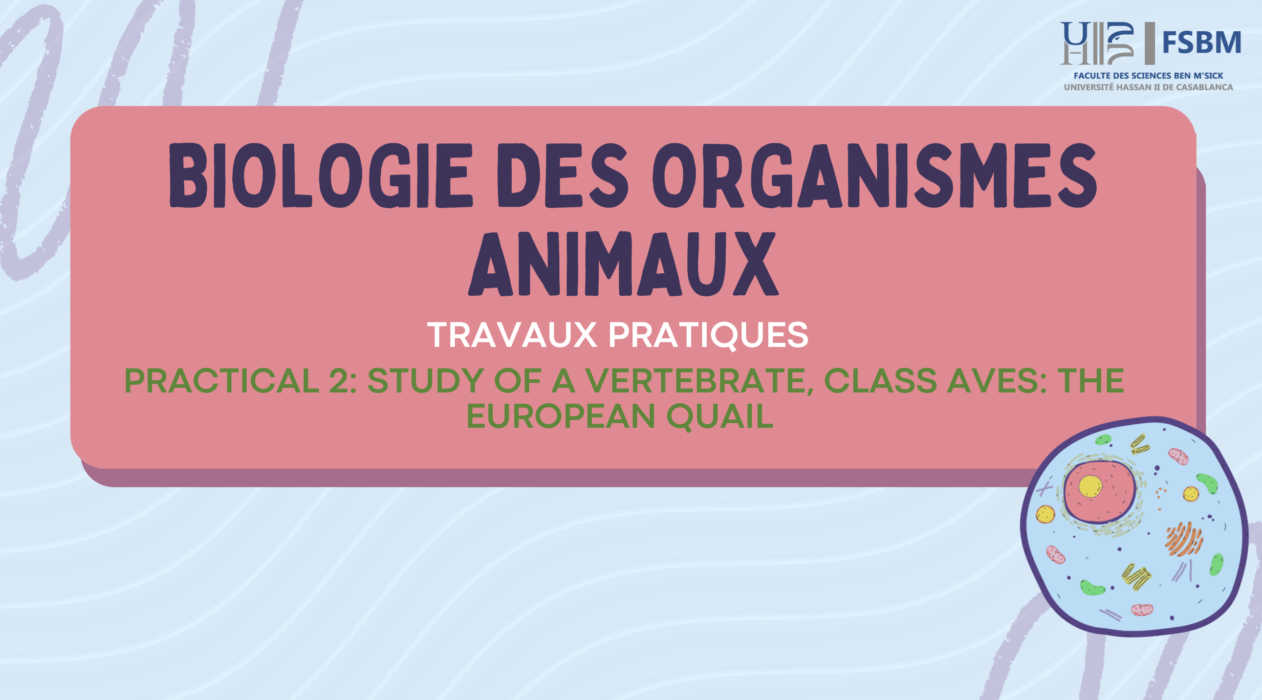 2 - STUDY OF A VERTEBRATE, CLASS AVES: THE EUROPEAN QUAIL CS101