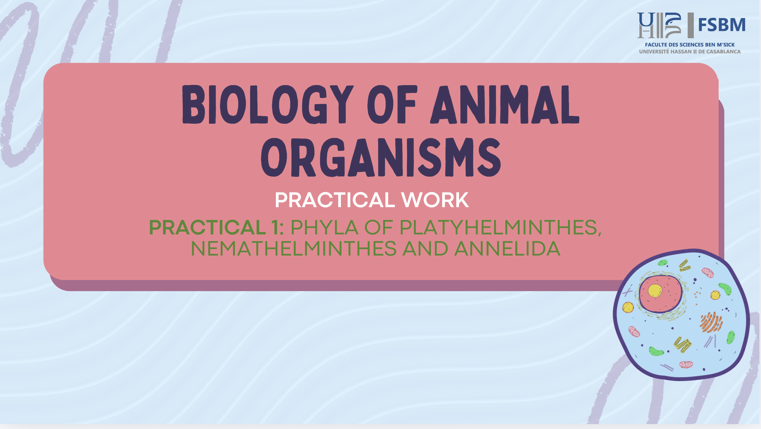 1 - PHYLA OF PLATYHELMINTHES, NEMATHELMINTHES AND ANNELIDA CS102